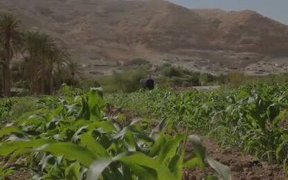 حكاية فلسطين
