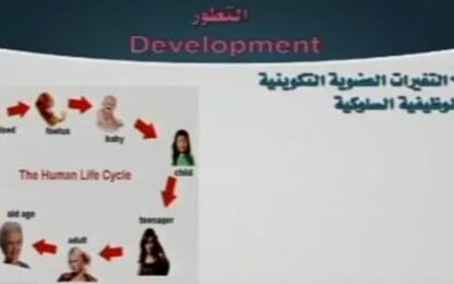 مفهوم التطور