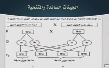 الجينات السائدة والمتنحية
