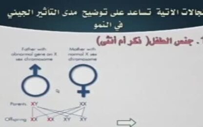 تحديد جنس المولود