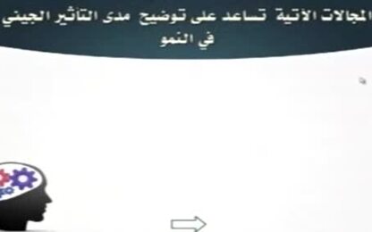 الشخصية