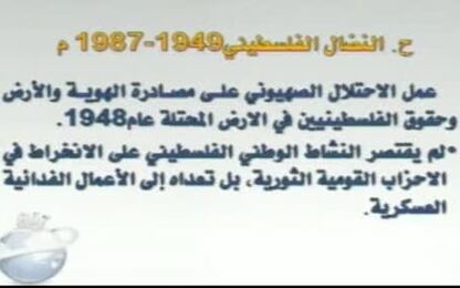 النضال السياسي (1949-1917)