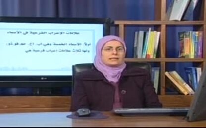 علامات الإعراب الفرعية في الأسماء
