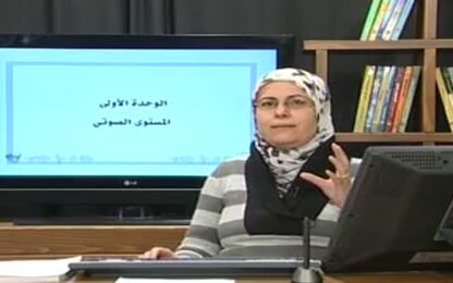 المستوى الصوتى