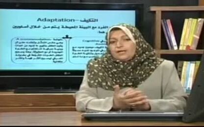 المفاهيم الأساسية في نظرية التطور المعرفي والافتراضات التي قامت عليها