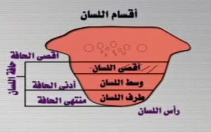 مخرج اللسان (أقصى اللسان)