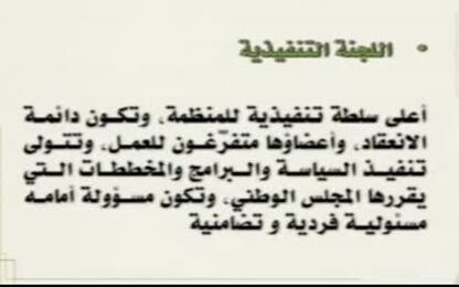 اللجنة التنفيذية