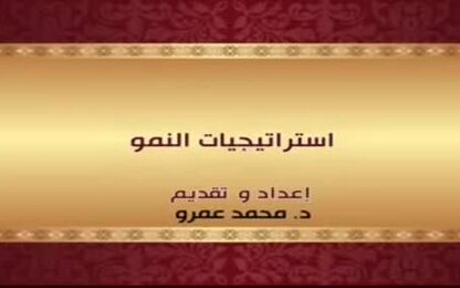 استراتيجيات النمو 