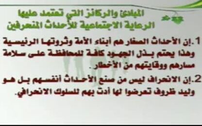 الركائز الرئيسية التي تقوم عليها رعاية الأحداث 