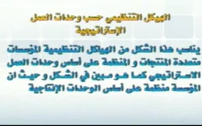 الهيكل حسب وحدات العمل الاستراتيجي 