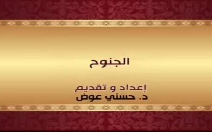 الجنوح