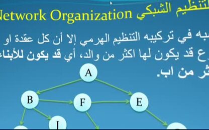التنظيمات الرئيسة لقواعد البيانات