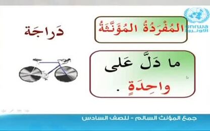 الطالبة ميس معاوية  اللغة العربية واساليب تدريسها 