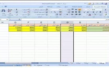 برنامج Excel 2007 - التعامل مع المصنّف - الحذف في الجدول