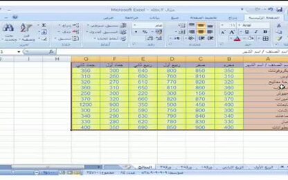 برنامج Excel 2007 - عمليات على بيانات الجدول - فرز البيانات في الجدول