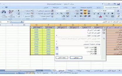 برنامج Excel 2007 - عمليات على بيانات الجدول - تصفية البيانات في الجدول