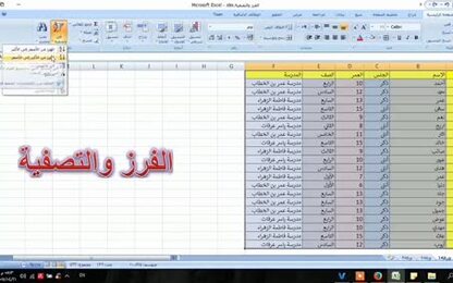 0102 - برنامج Excel 2007 - عمليات على بيانات الجدول - فرز وتصفية البيانات في الجدول