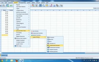 الجانب العملي للإحصاء التطبيقي-اختبار مان ويتني اللامعلمي-spss